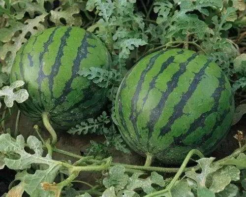 溧阳吃瓜最新事件爆料视频,最新爆料视频揭露惊人真相 第3张 溧阳吃瓜最新事件爆料视频,最新爆料视频揭露惊人真相 第3张