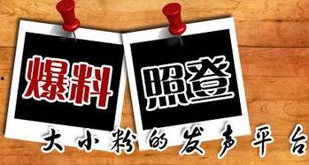 安岳新闻爆料平台有哪些,聚焦本地资讯,共筑信息桥梁 第1张 安岳新闻爆料平台有哪些,聚焦本地资讯,共筑信息桥梁 第1张